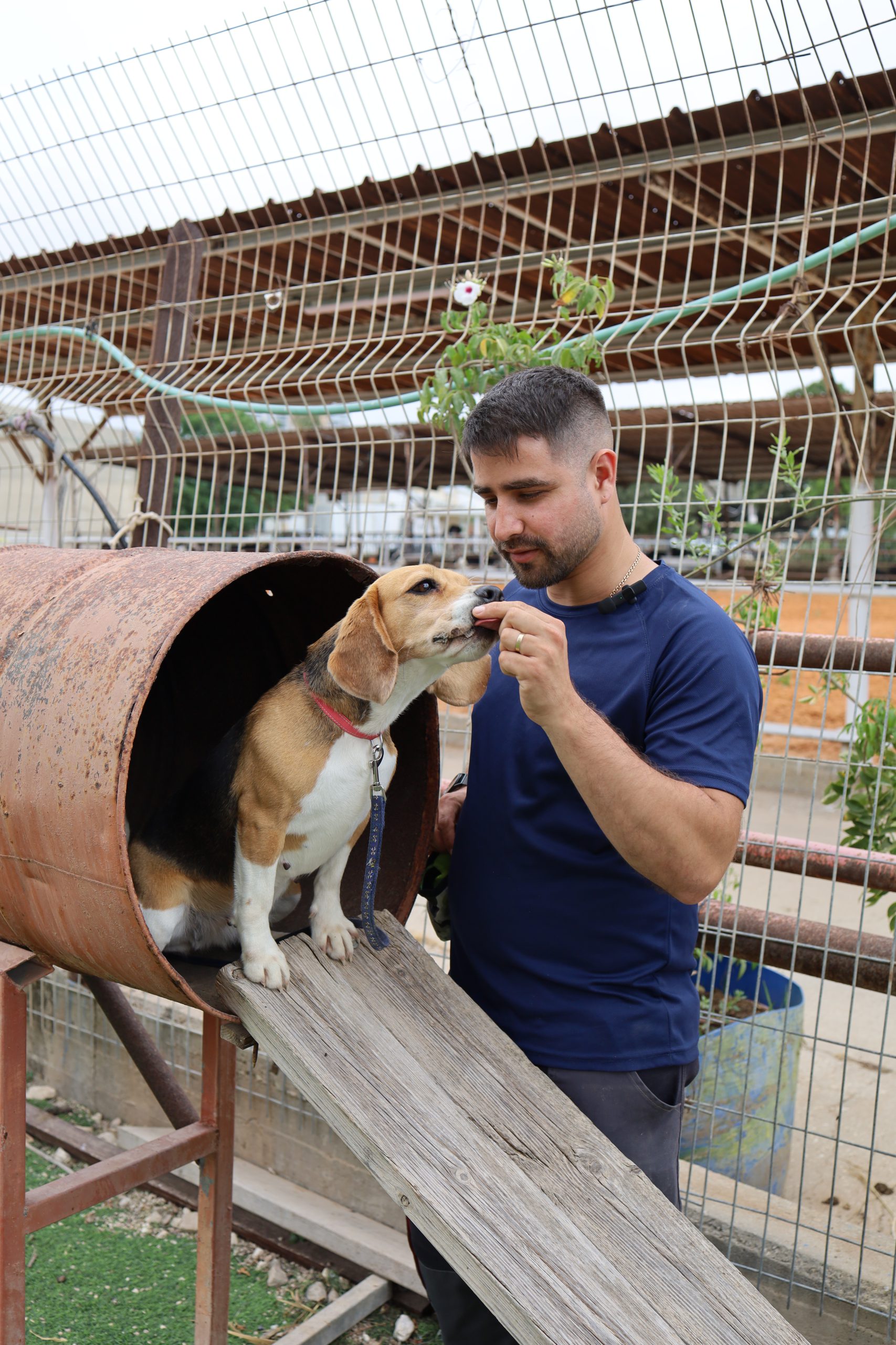 השירותים שלי KevDog
