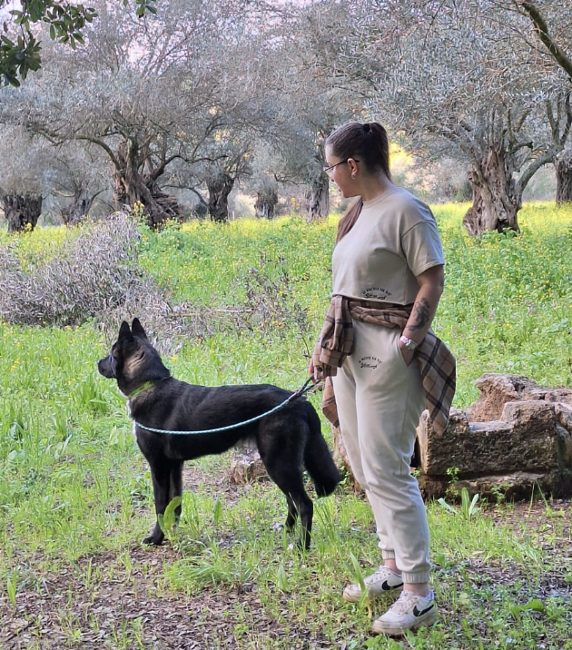 סופי מקוגון